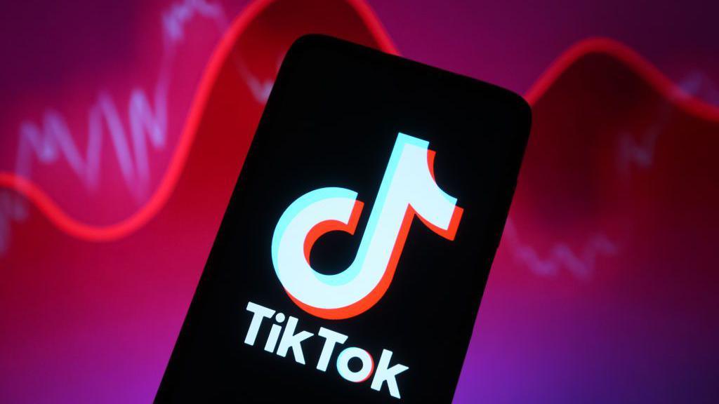 TikTok允许用户向元数据中添加相关关键词：流量获取从运气驱动转向策略驱动