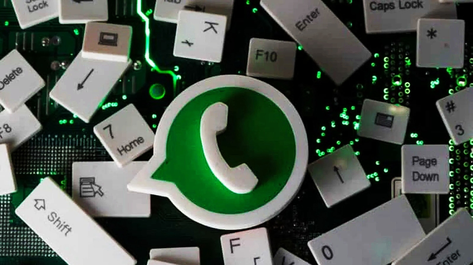 全自动WhatsApp养号指南震撼来袭：001SCRM客服系统AI养号功能助你打造高权重账号