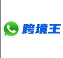 跨境王