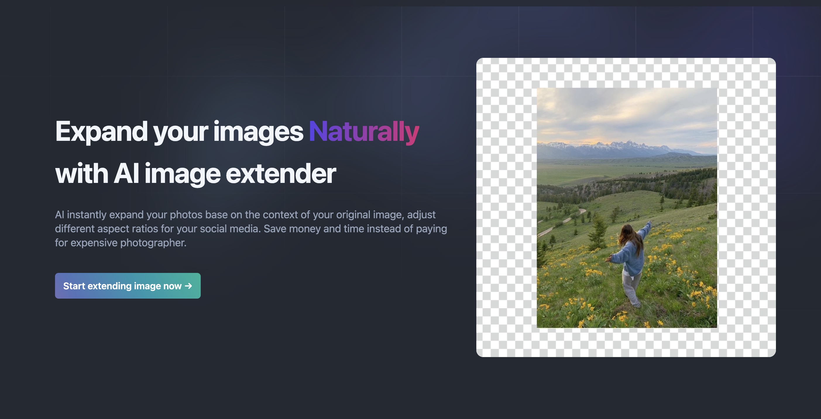 AI Image Extender 界面截图