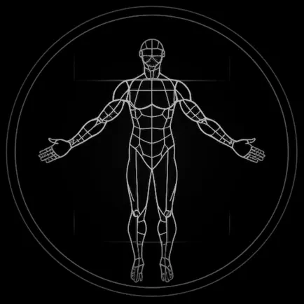 BodBot 界面截图