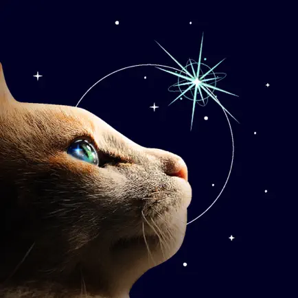 Catting 界面截图
