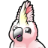 Cockatoo 界面截图