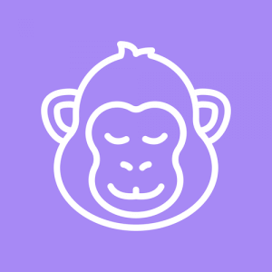 CopyMonkey 界面截图