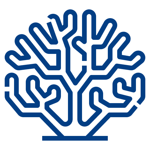 Coral AI 界面截图