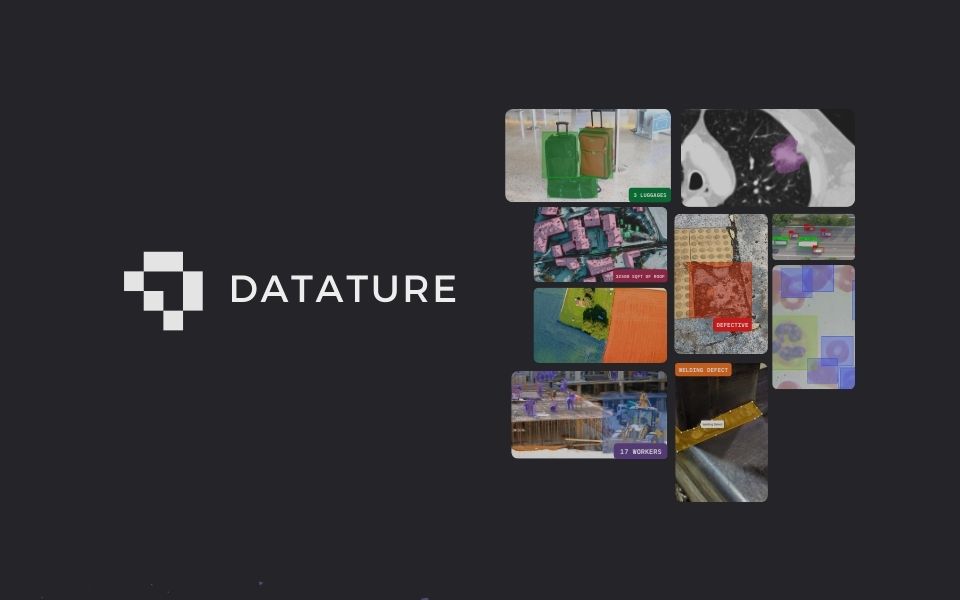 Datature 界面截图