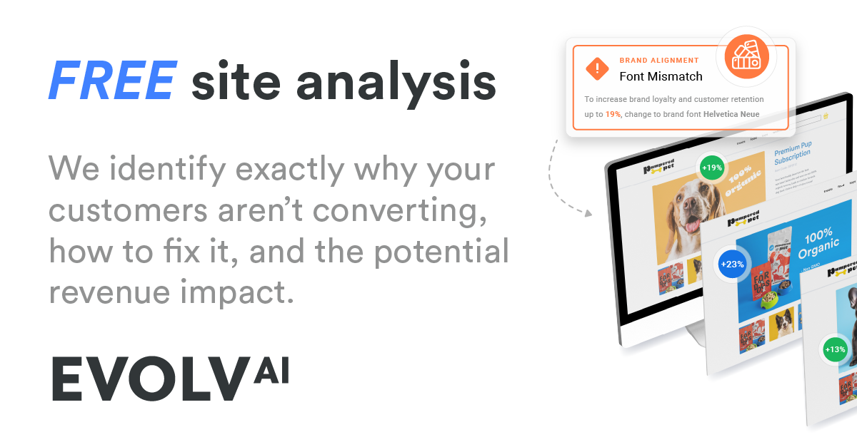 Evolv AI 界面截图