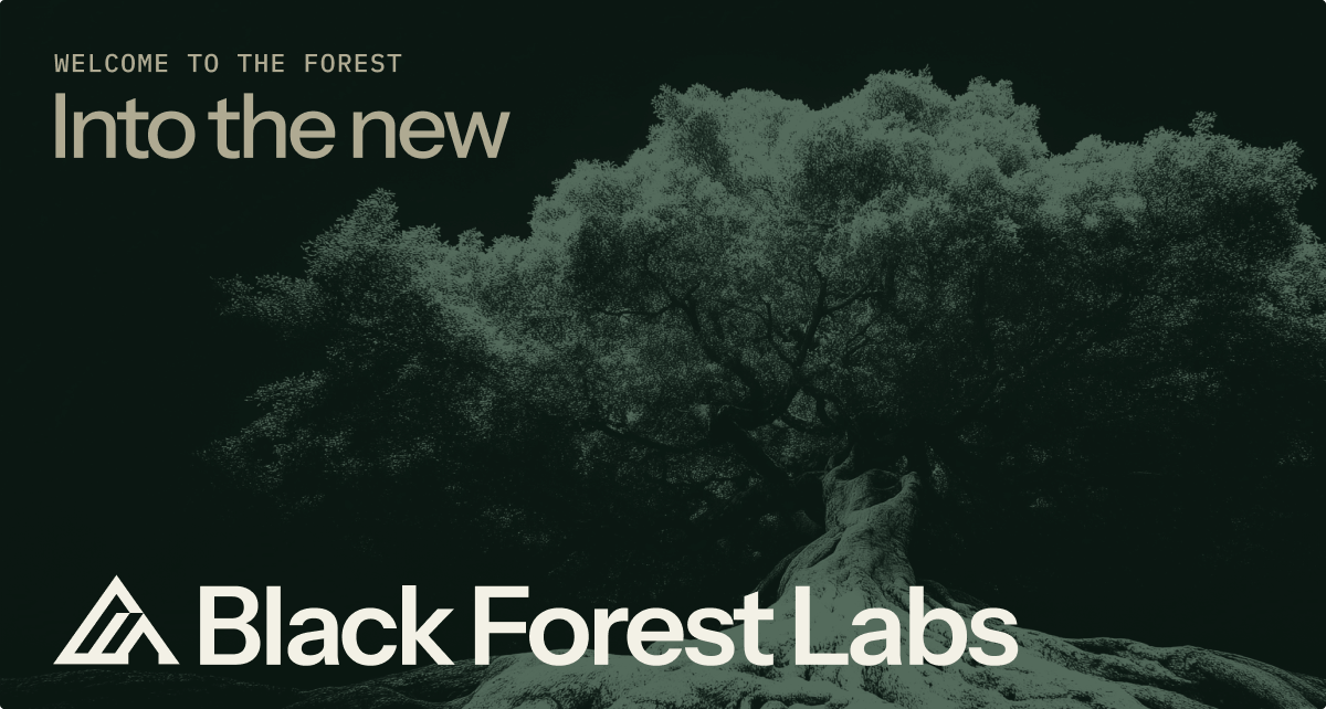 Black Forest Labs 界面截图