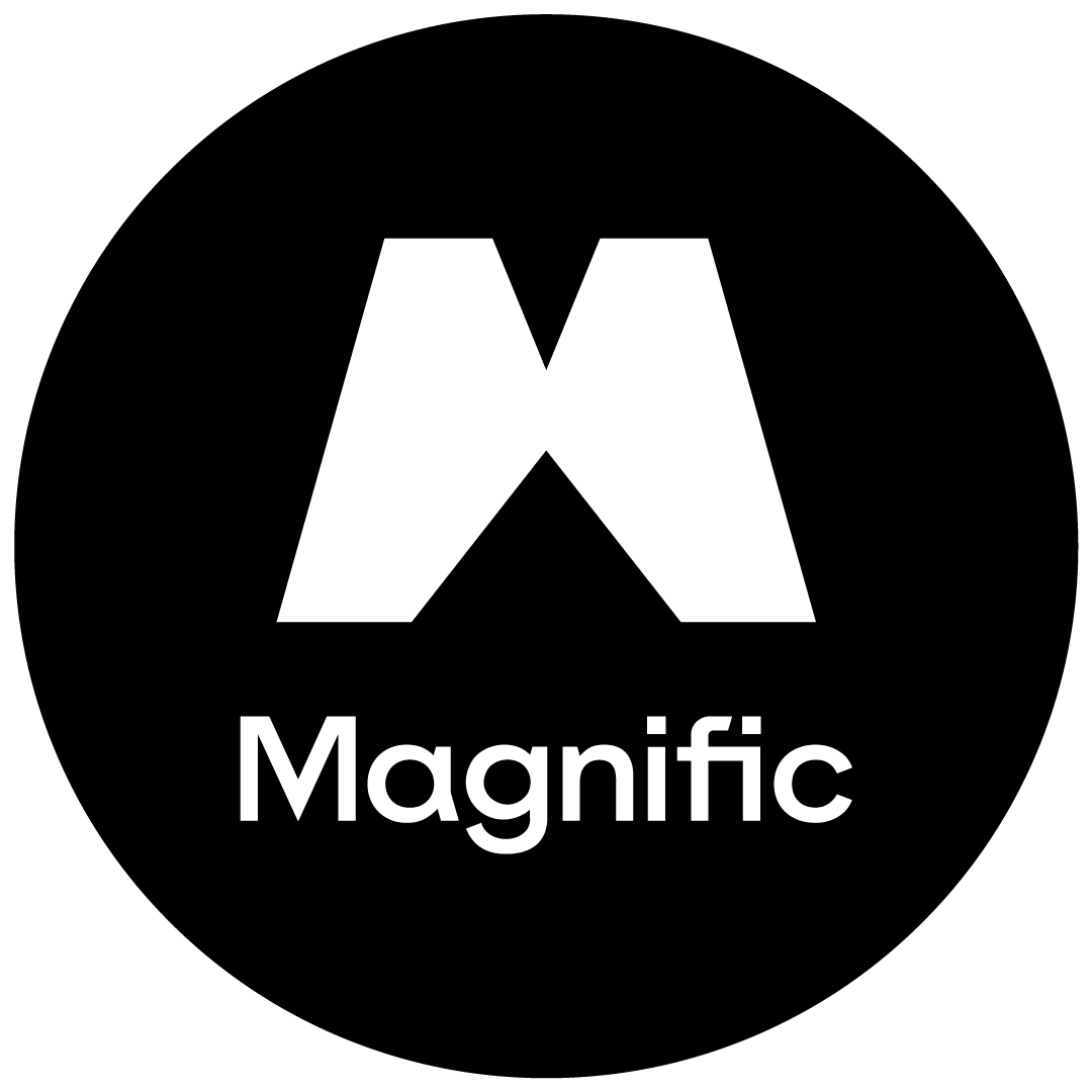 Magnific 界面截图
