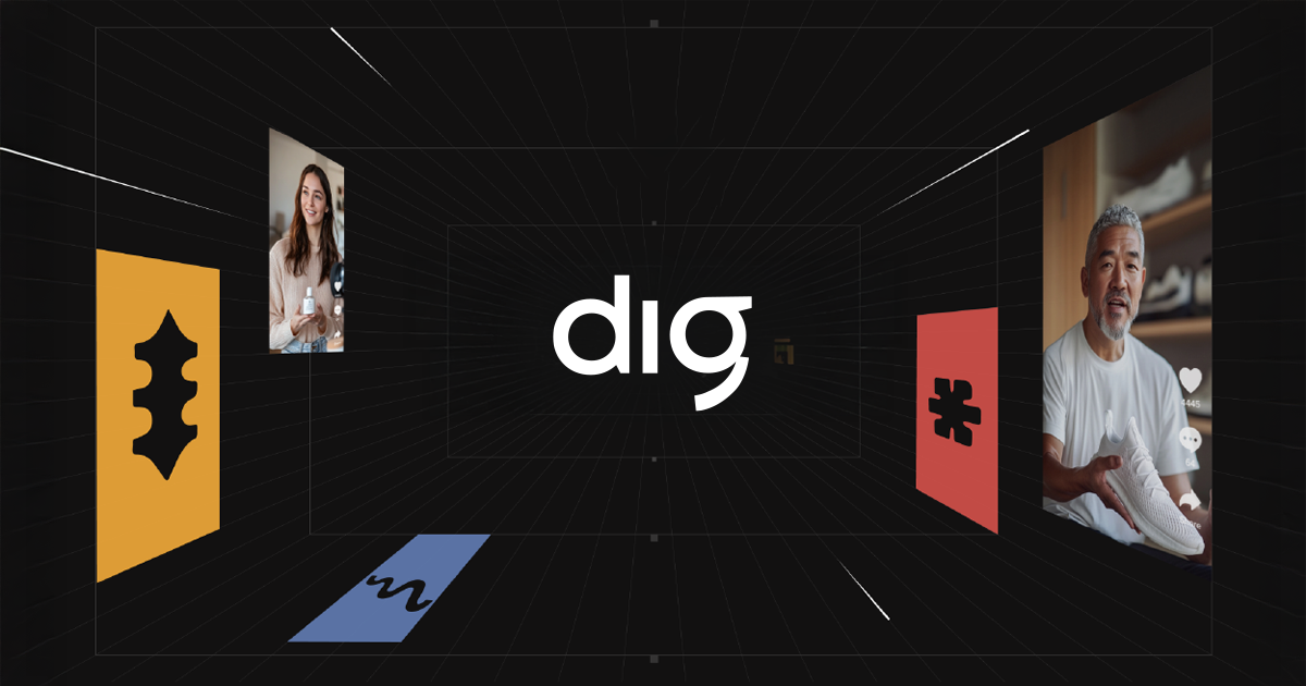 Dig 界面截图