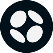 Perion AI-Powered Custom Algo 界面截图