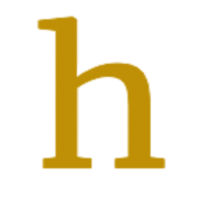 Honeybear AI 界面截图