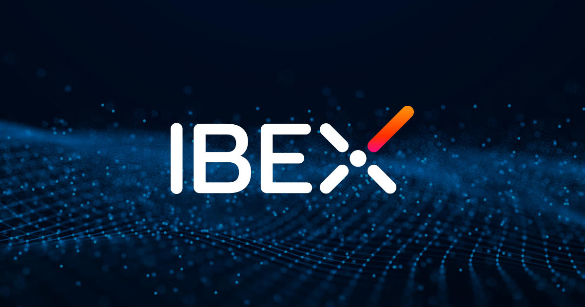 Ibex AI 界面截图