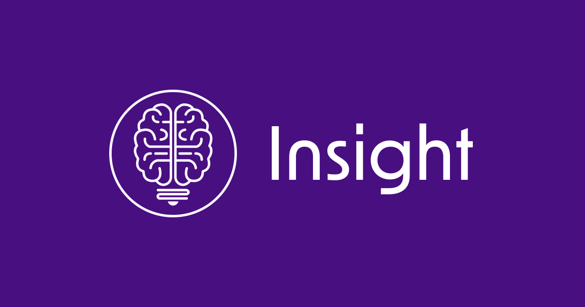 Insight 界面截图