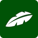 Jungle 界面截图