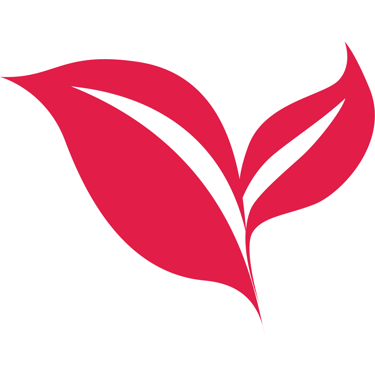 LogoAI.ai 界面截图