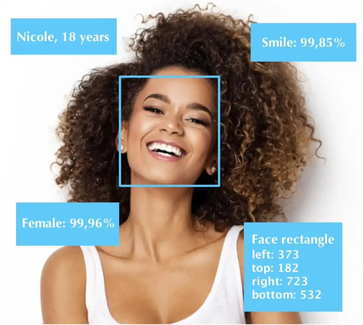 Luxand Cloud Face Recognition API 界面截图