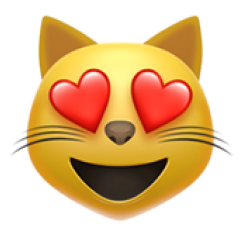 Meoweler 界面截图