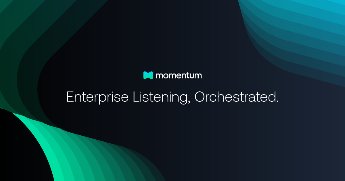 Momentum 界面截图