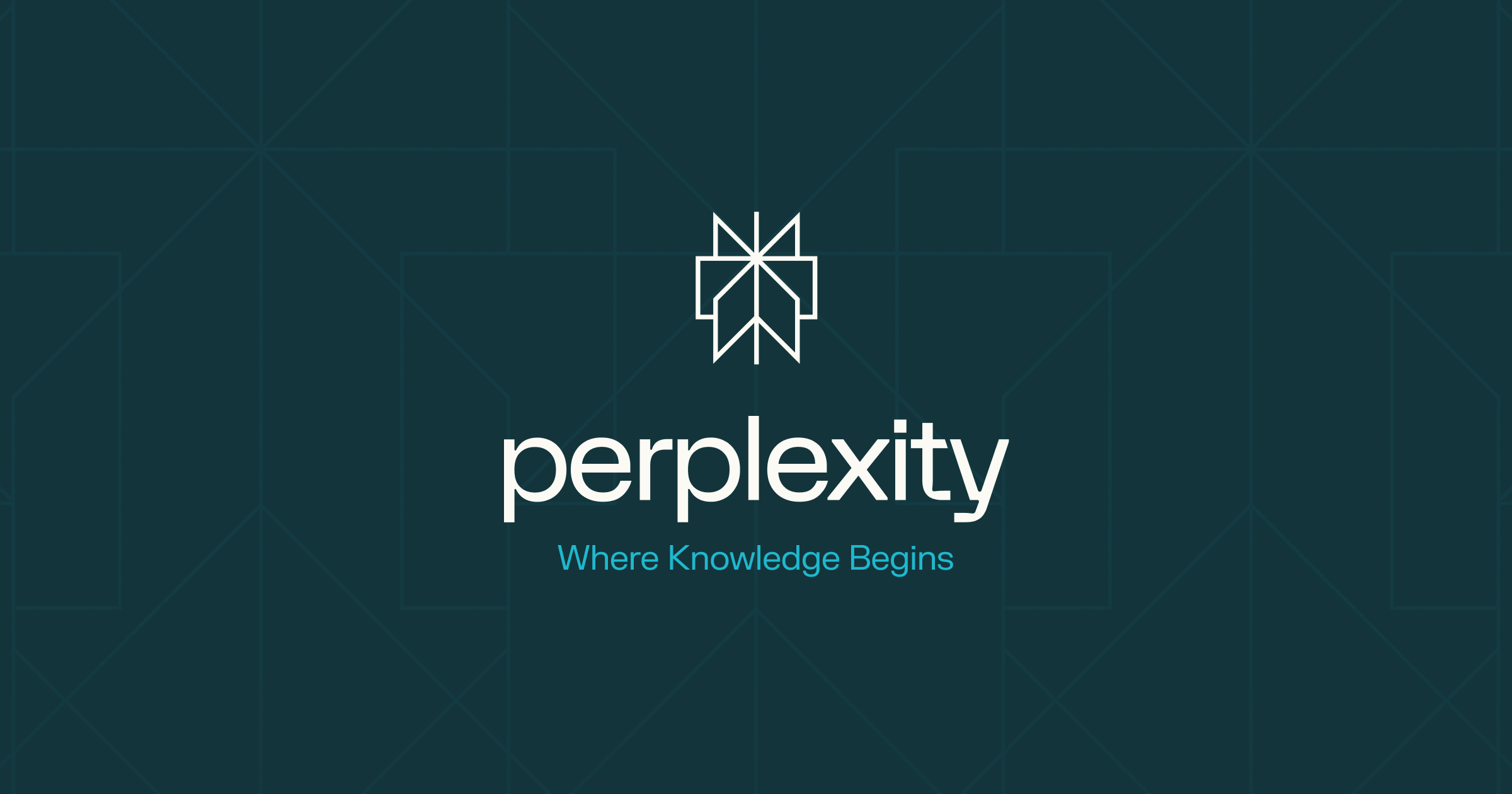 Perplexity 界面截图