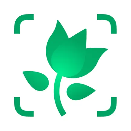 PictureThis 界面截图