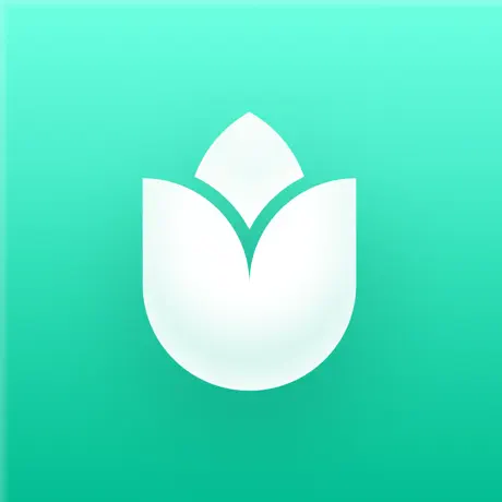 PlantIn 界面截图