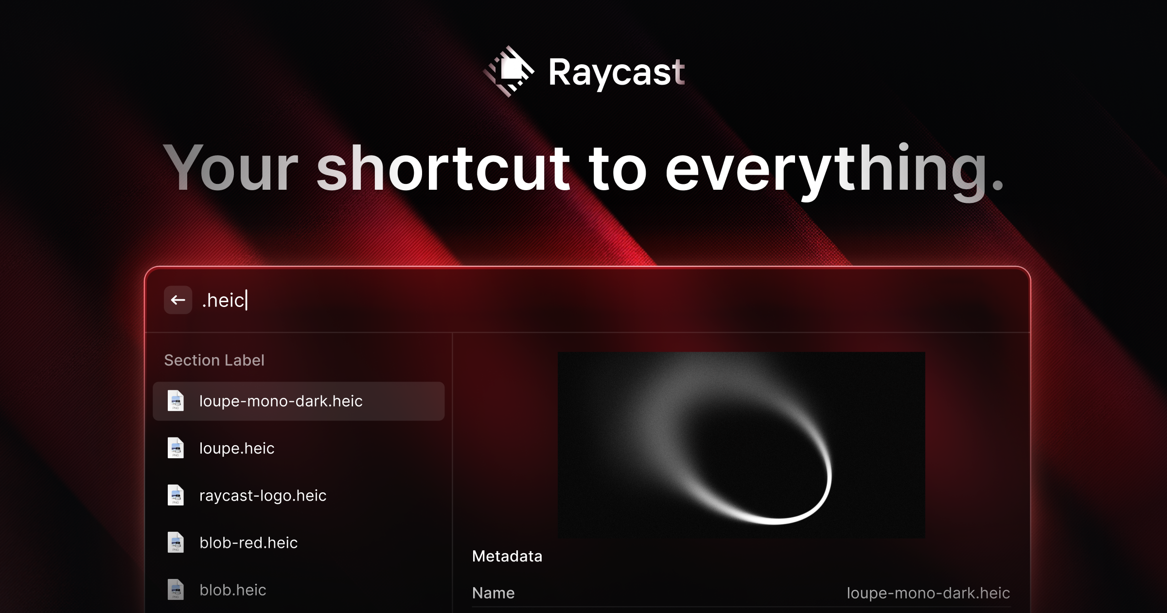 Raycast 界面截图