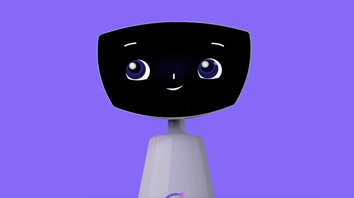 Robin the Robot 界面截图