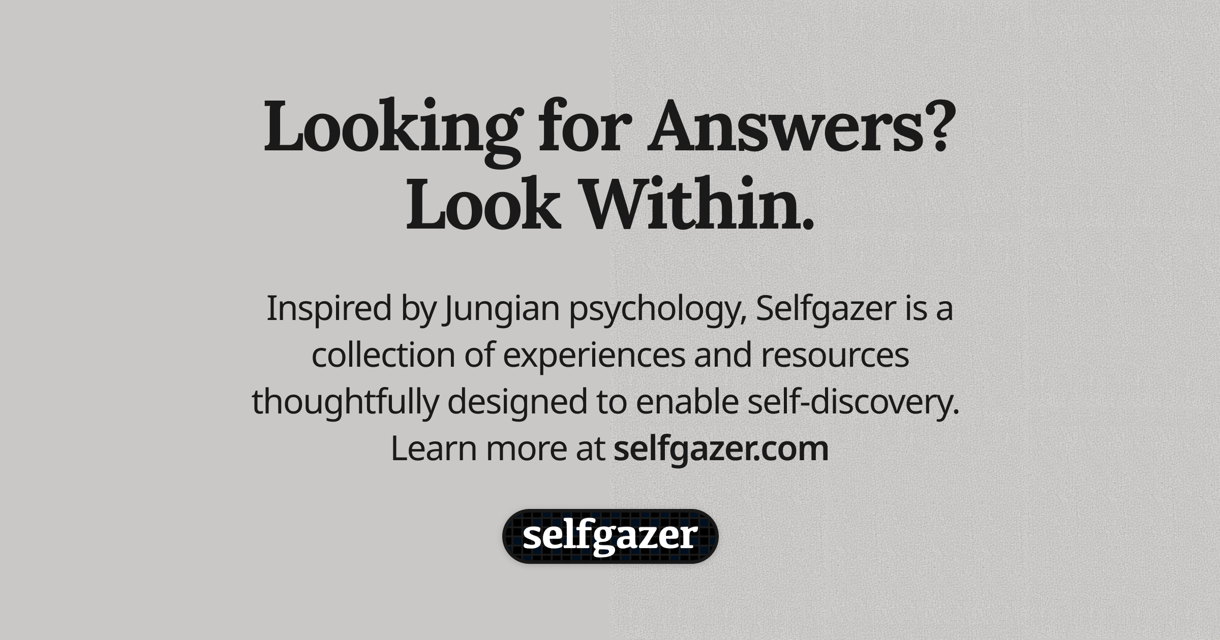 Selfgazer 界面截图