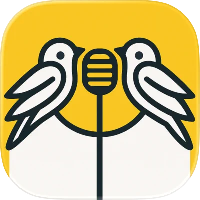 Canary 界面截图