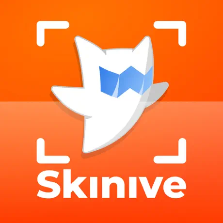 Skinive 界面截图