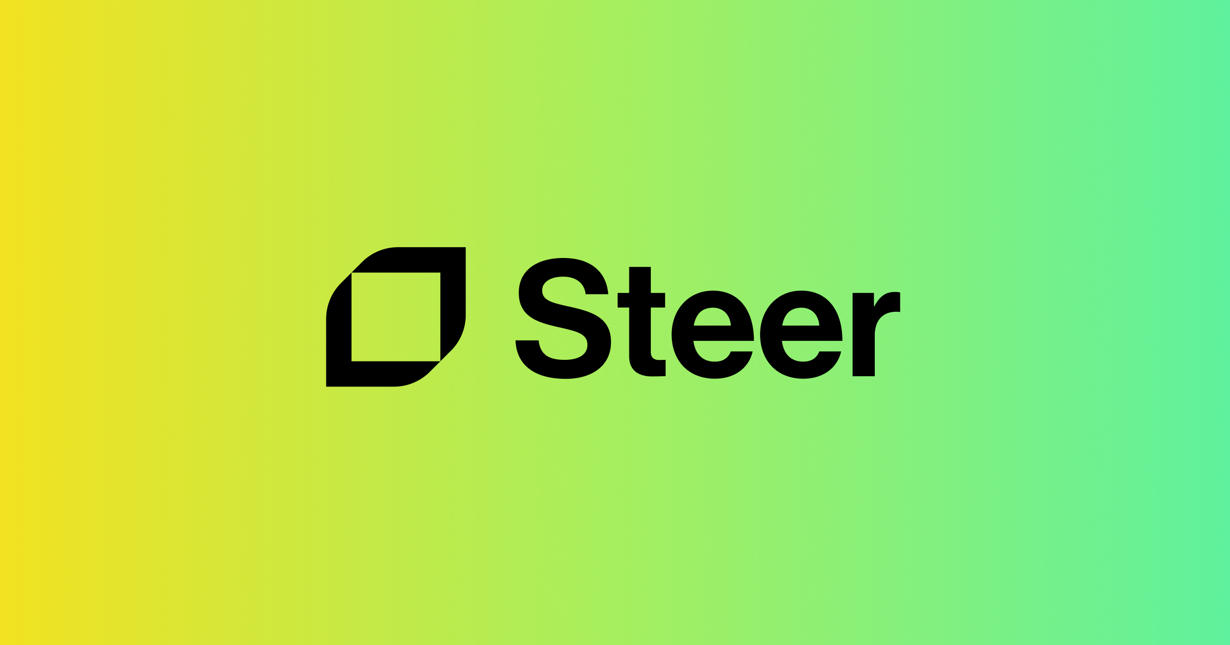 Steer 界面截图