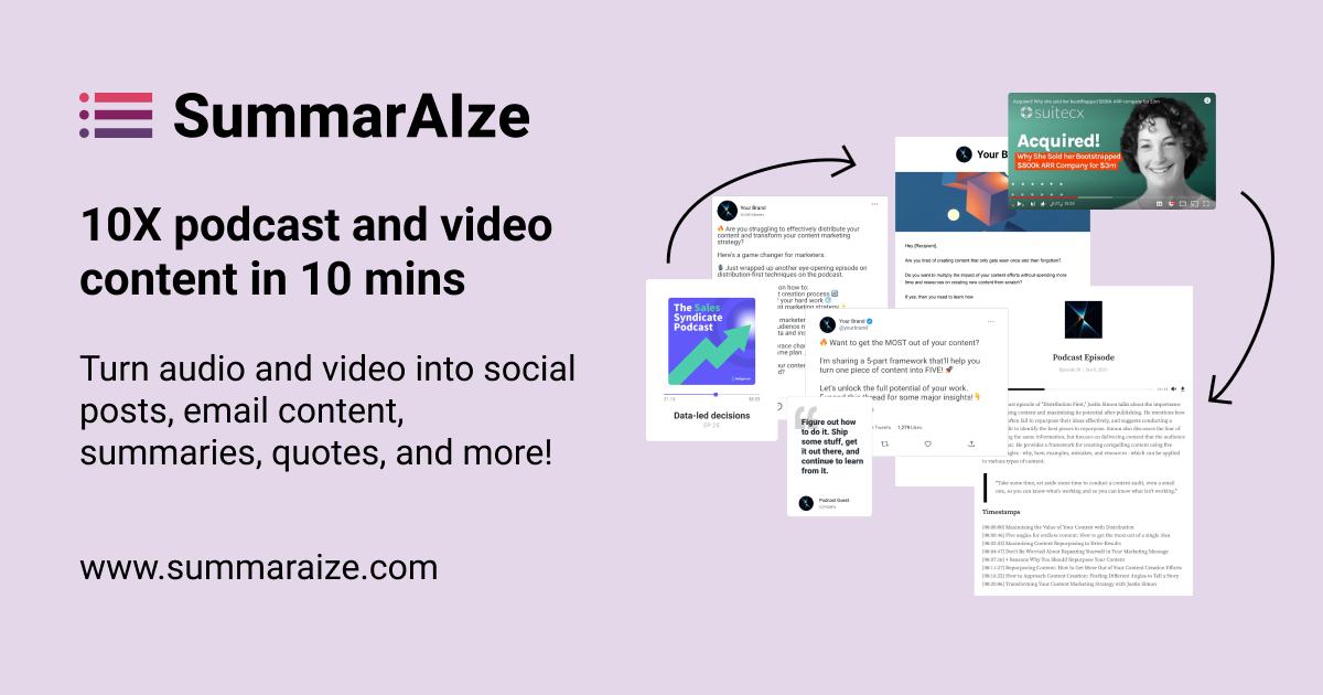 SummarAIze 界面截图