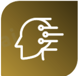 The AI Reports 界面截图