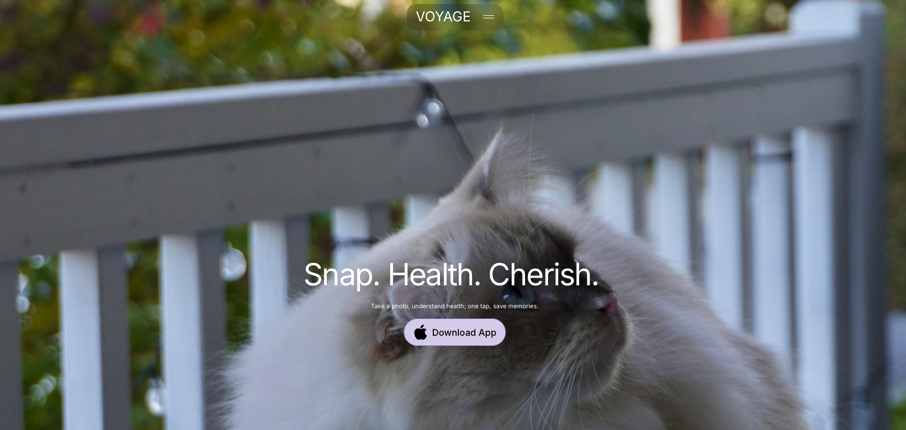 Voyage Pet AI 界面截图