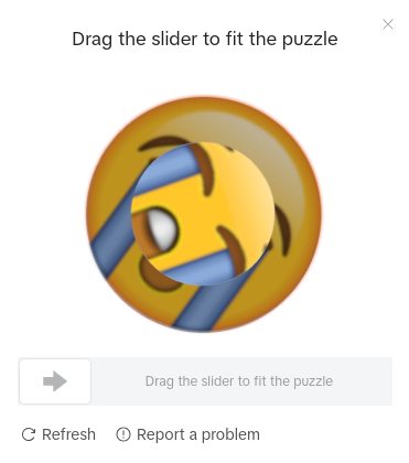 SadCaptcha 界面截图