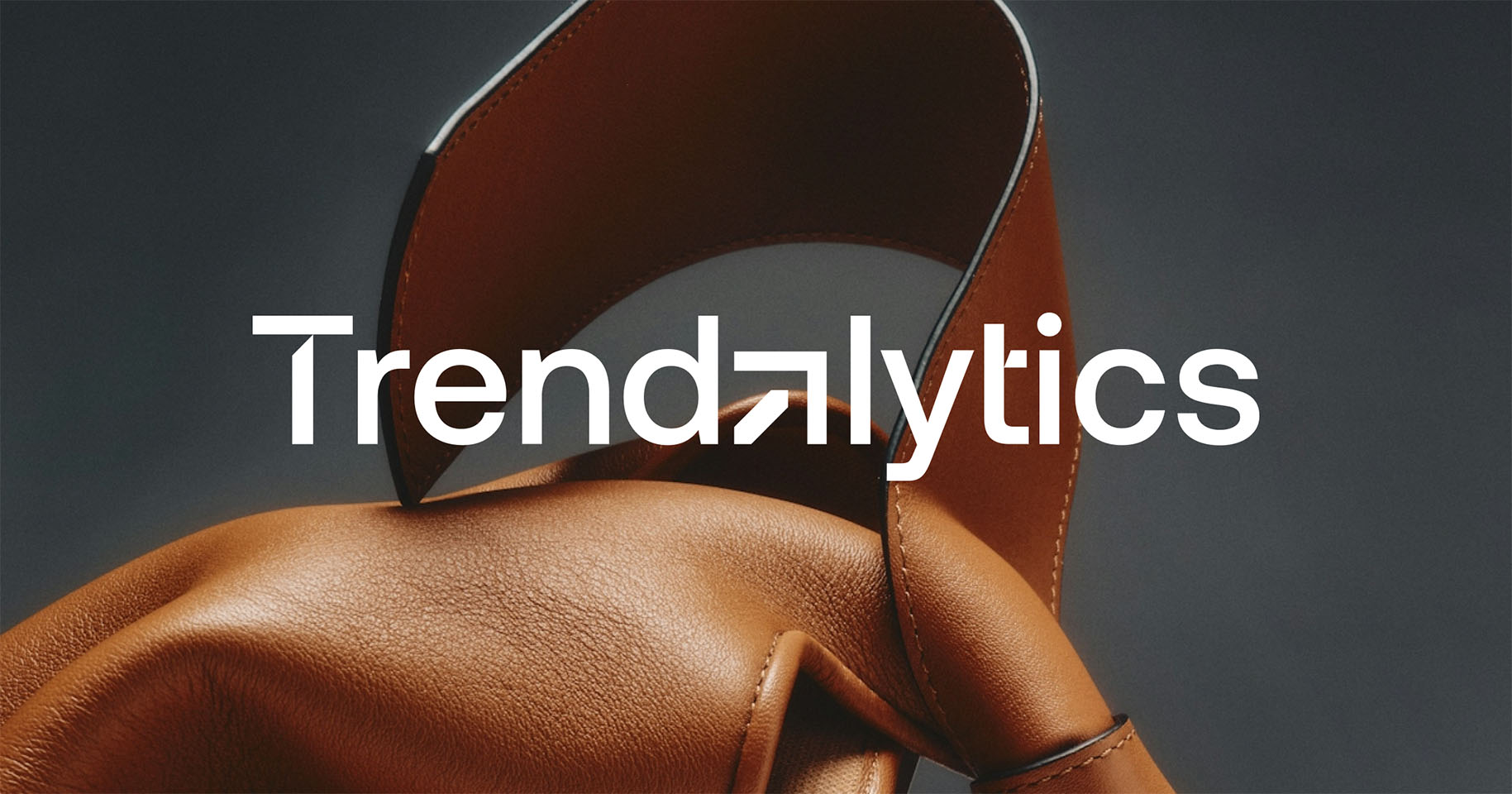 Trendalytics 界面截图