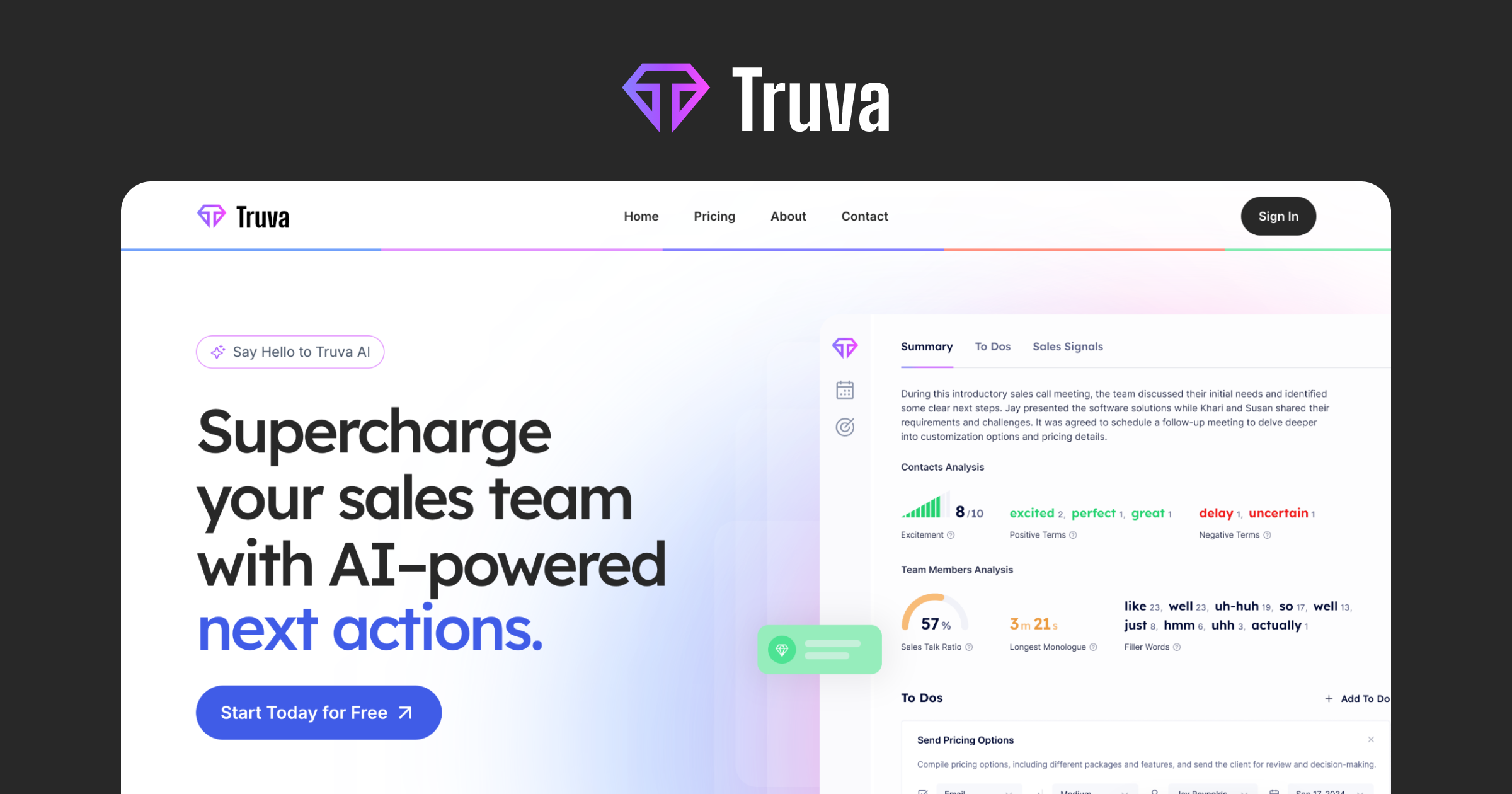 Truva AI 界面截图