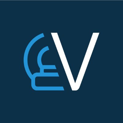 Viseur AI 界面截图