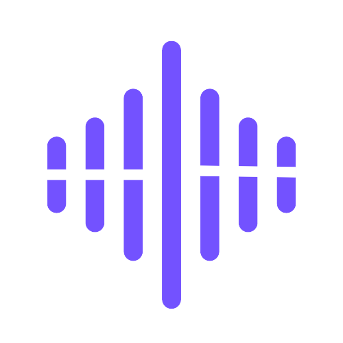 Voxify 界面截图