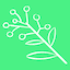 Wattle 界面截图