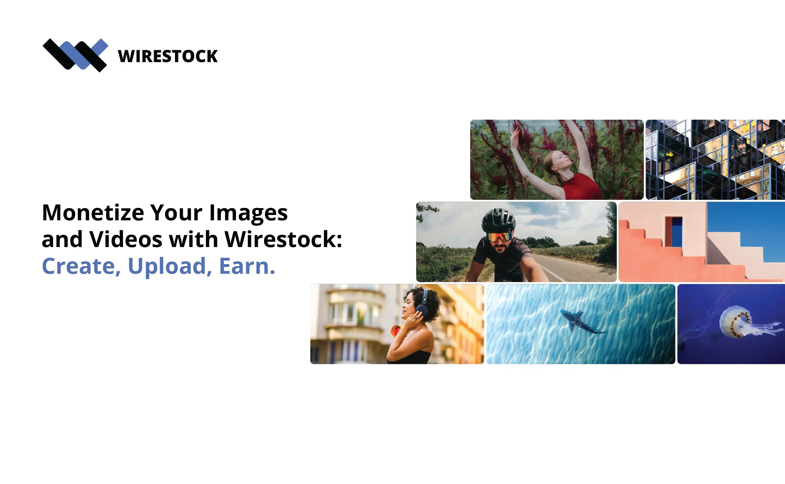 Wirestock 界面截图