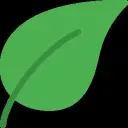 Anki Decks