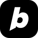 Bolt AI