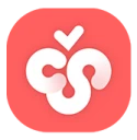 Cherry Studio