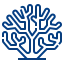 Coral AI