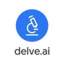 Delve AI