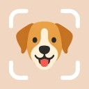 Dog Breed Identifier by DogPic