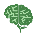 Finance Brain