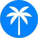 Palm